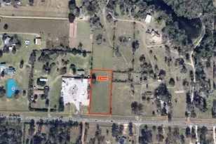 23215 Nichols Sawmill, Hockley, TX 77447 - Photo 5