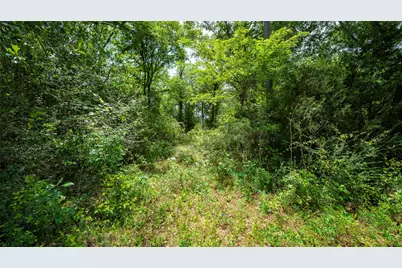 000 Fm 1488, Magnolia, TX 77355 - Photo 19