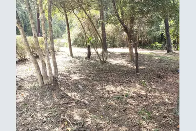 37402 Robin George Trail, Magnolia, TX 77354 - Photo 5