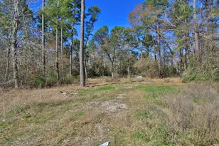 22475&22463 Adams St, Porter, TX 77365 - Photo 9