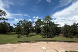 12515 Texas Army Trail, Cypress, TX 77429 - Photo 9
