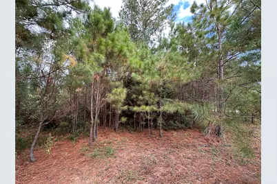 3116 County Road 3479B, Cleveland, TX 77327 - Photo 7