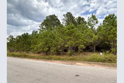 3116 County Road 3479B, Cleveland, TX 77327 - Photo 3