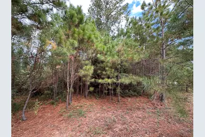 3116 County Road 3479B, Cleveland, TX 77327 - Photo 7