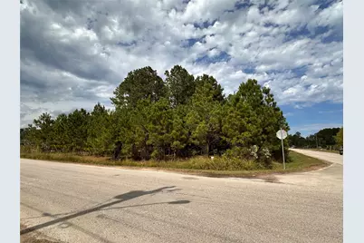3116 County Road 3479B, Cleveland, TX 77327 - Photo 1