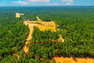 26410 Old Head Trail, Montgomery, TX 77316 - Photo 3