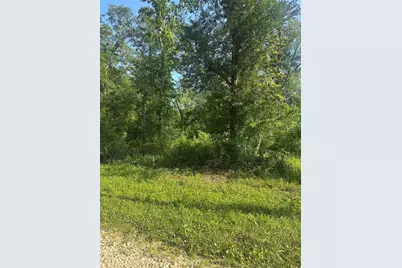 Tbd Little Lane, Shepherd, TX 77371 - Photo 3