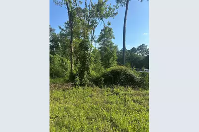 Tbd Little Lane, Shepherd, TX 77371 - Photo 1