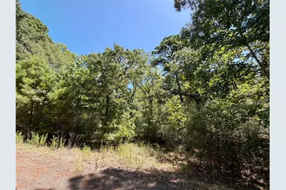 Tbd Lori Drive, Trinity, TX 75862 - Photo 3