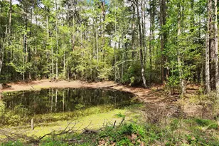 23076 Farm To Market 227, Kennard, TX 75847 - Photo 27