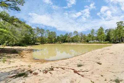 18380 Blackberry Road, Conroe, TX 77306 - Photo 13