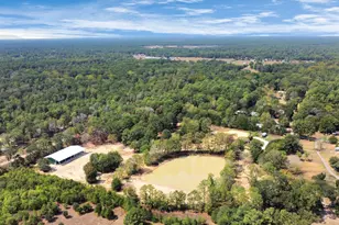 18380 Blackberry Rd, Conroe, TX 77306 - Photo 23