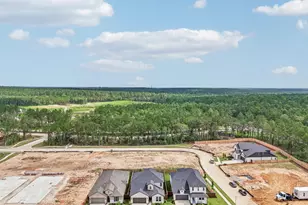 26116 Treetop Ter Ln, Montgomery, TX 77316 - Photo 19