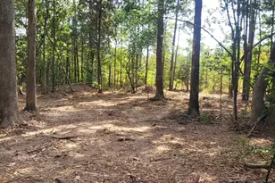 Tbd Bear Hollow, Cleveland, TX 77328 - Photo 1