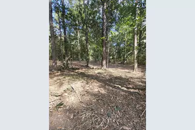 Tbd Bear Hollow, Cleveland, TX 77328 - Photo 3