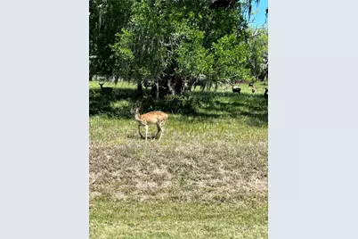 131 Hidden Horse Trail, Angleton, TX 77515 - Photo 1