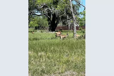 131 Hidden Horse Trail, Angleton, TX 77515 - Photo 3