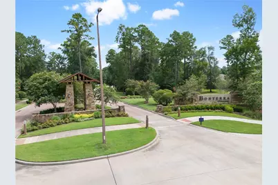 110 Passion Flower Cove, Montgomery, TX 77316 - Photo 41
