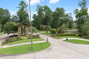 110 Passion Flower Cv, Montgomery, TX 77316 - Photo 41