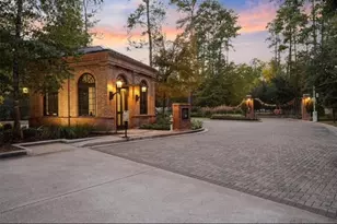 422 N Copa Palm Loop, Montgomery, TX 77316 - Photo 3