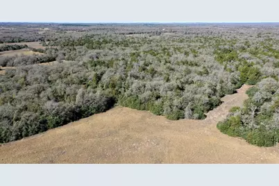 Tbd Cr 328, Tract 8, 11 Acres, Caldwell, TX 77836 - Photo 21
