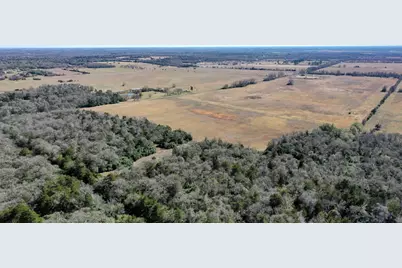 Tbd Cr 328, Tract 8, 11 Acres, Caldwell, TX 77836 - Photo 1