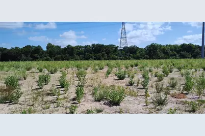 15510 Pinehurst Lane, Santa Fe, TX 77517 - Photo 9