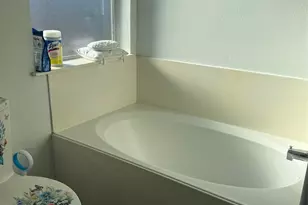 3818 Wimberley Hollow Ln, Houston, TX 77053 - Photo 23