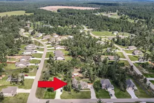 18207 Samie Nell Ct, Willis, TX 77378 - Photo 43