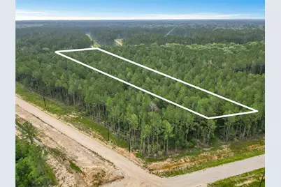 6773 Black Cat Road, Sour Lake, TX 77659 - Photo 1