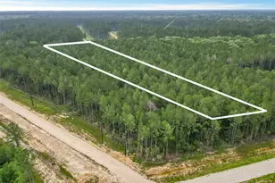 6773 Black Cat Rd, Sour Lake, TX 77659 - Photo 1