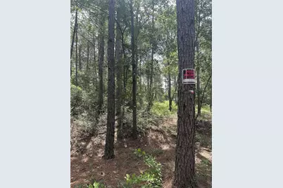 13 Scarlet Oak Dr, Plantersville, TX 77363 - Photo 3