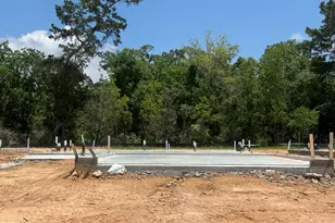 20843 Wildbird Cherry St, Porter, TX 77365 - Photo 25