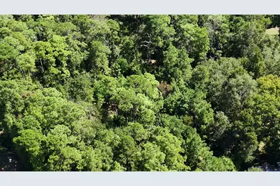 Lot 226 N Canyon Drive, Onalaska, TX 77360 - Photo 15