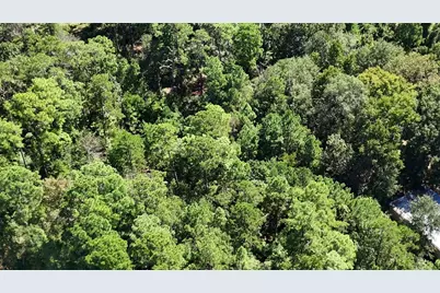 Lot 226 N Canyon Drive, Onalaska, TX 77360 - Photo 13