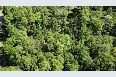 Lot 226 N Canyon Drive, Onalaska, TX 77360 - Photo 17