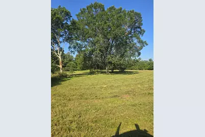 Tbd Hwy 150 W, Coldspring, TX 77331 - Photo 5