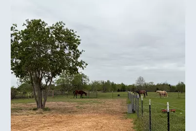 17523 Premium Drive, Hockley, TX 77447 - Photo 7