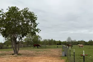 17523 Premium Dr, Hockley, TX 77447 - Photo 7