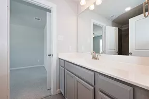 29310 Sweet Orange Ct, Katy, TX 77494 - Photo 39