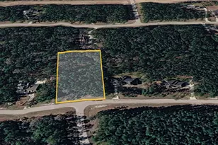 47 Brahman Ln, New Waverly, TX 77358 - Photo 1