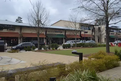 262 S Fazio Way, The Woodlands, TX 77389 - Photo 39