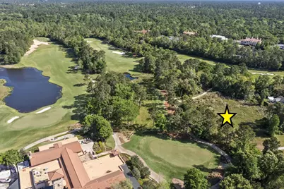 262 S Fazio Way, The Woodlands, TX 77389 - Photo 11