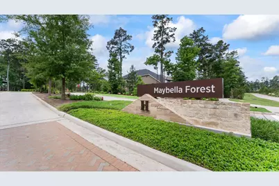 327 Honey Mesquite Path, Conroe, TX 77318 - Photo 31