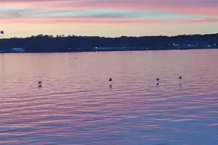 428 Dove Island, Livingston, TX 77351 - Photo 33