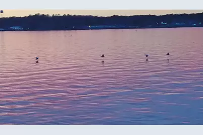 428 Dove Island, Livingston, TX 77351 - Photo 31