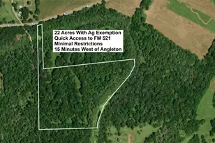Lot G County Road 30S, Angleton, TX 77515 - Photo 1