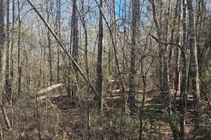 0 Red Rd, Shepherd, TX 77371 - Photo 1