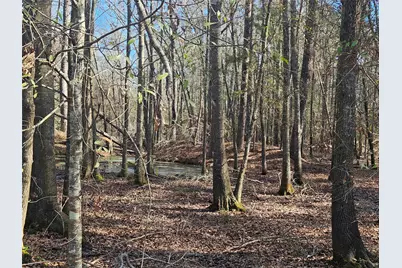 0 Red Road, Shepherd, TX 77371 - Photo 3