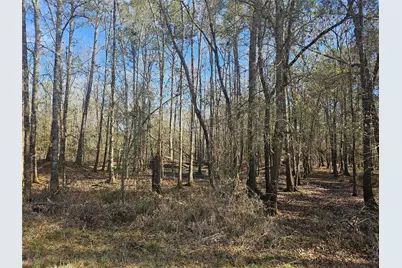 0 Red Road, Shepherd, TX 77371 - Photo 5